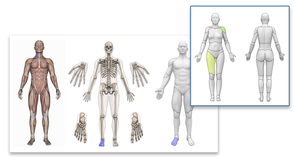 Funzione infortuni - grafica sagome Funzione infortuni - grafica sagome